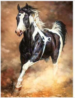 Malowanie Po Numerach Galop Konia W Piachu 40X50 Cm Na Ramie