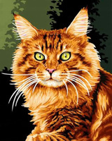 Malowanie Po Numerach Kot Rudy 40x50