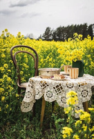 Diamentowa Mozaika Haft Kawa Przy Stoliku W Kwitnącym Rzepaku 30x40 Cm