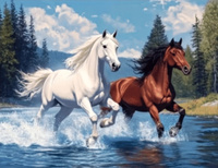 Malowanie Po Numerach Konie W Galopie W Rzece 40X50 Cm Na Ramie Kreatywne
