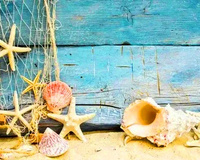 Malowanie Po Numerach Morskie Skarby 50X40 Na Ramie