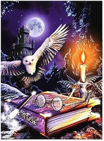 Diamentowa Mozaika Sowa Księga Harry Potter 30x40 Cm Haft