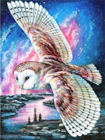 Diamentowa Mozaika Sowi Lot Haft Kreatywny 30x40 Cm