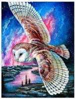 Diamentowa Mozaika Sowa Latająca Na Tle Kolorów 30x40Cm Kreatywne Diamenty