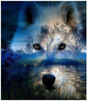 Malowanie Po Numerach Wilk, Las 50X40 Cm+ Rama