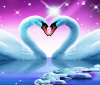 Malowanie Po Numerach Łabędzie,Serce50X40 Cm Na Ramie