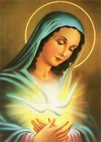 Diamentowa Mozaika Matka Boska Z Gołębiem 30x40Cm Kreatywne Diamenty