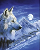 Diamentowa Mozaika Wilk Zimową Nocą Na Tle Gór 30x40 Cm Kreatywne Diamenty