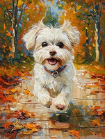 Diamentowa Mozaika Pies Maltańczyk Biegnący Lasem 30x40 Cm Kreatywne