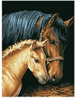 MALOWANIE PO NUMERACH KOŃ, ŹREBAKIEM + RAMA 30x40