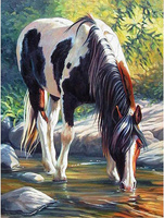 Diamentowa Mozaika Koń Pijący Ze Strumienia Haft Kreatywny 30x40 Cm