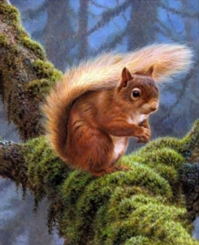 Diamentowa Mozaika Wiewiórka Na Gałęzi W Lesie 30x40Cm Kreatywne Diamenty