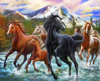 Malowanie Po Numerach Koń 40x50