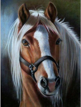 Diamentowa Mozaika Koń Z Jasną Grzywą 30X40 Cm Kreatywne Diamenty