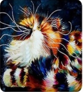 Diamentowa Mozaika Kot Puchaty 30x40