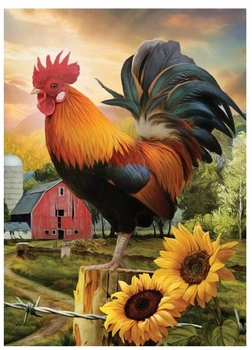 Diamentowa Mozaika Kogut Na Farmie Haft Kreatywny 30x40 Cm