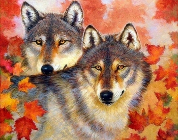 Malowanie Po Numerach 40 X 50 Cm Wilk I Wilczyca