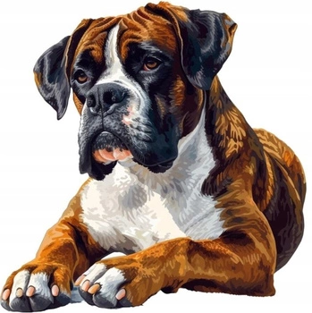 Diamentowa Mozaika Pies Bokser Leżący 30x40 Cm Kreatywne Diamenty