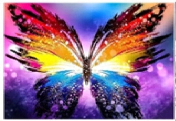 Malowanie Po Numerach 50X40 Cm Kreatywne Z Ramą Kolorowy Motyl