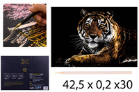 ZDRAPYWANKA KOPERTA TYGRYS PAK 200 405/285