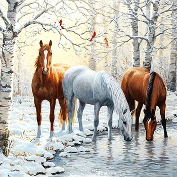 Malowanie Po Numerach Konie Nad Zimowym Stawem 50X40 Cm Z Ramą Kreatywne