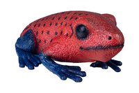 ŻABA DRZEWOŁAZ CZERWONA 26 CM DŁUGOŚCI