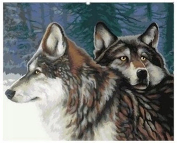 Malowanie Po Numerach Wilki, Las 50X40 Cm+ Rama