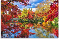 Malowanie Po Numerach Jesienne Jezioro 50X40 Cm Na Ramie Kreatywne