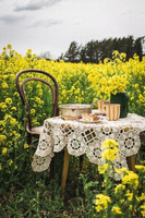 Malowanie Po Numerach Śniadanie Wśród Kwitnoącego Rzepaku 40X50 Z Ramą