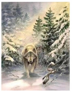 Malowanie Po Numerach Wilk W Lesie Zima 40x50 CM Z Ramą Kreatywne