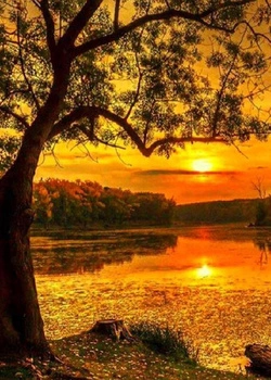 Diamentowa Mozaika Zachód Słońca Nad Moczarami 30x40 Cm Kreatywne Diamenty