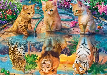 Diamentowa Mozaika Jak Widzą Siebie Koty 30x40