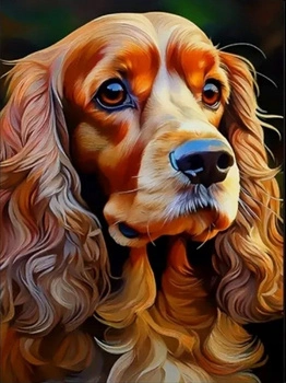 Diamentowa Mozaika Pies Cocker Spaniel Portret 30x40 Cm Kreatywne Diamenty