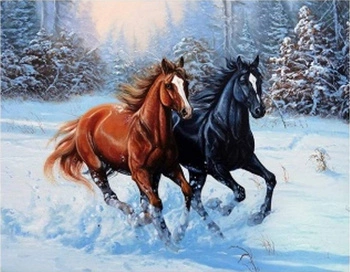 MALOWANIE PO NUMERACH KONIE NA ŚNIEGU 40x50 RAMA