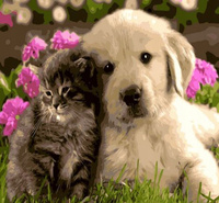 Malowanie Po Numerach Kotek I Piesek 40 x 50