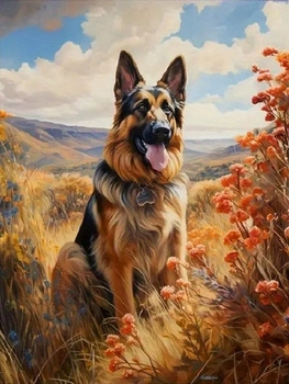 Malowanie Po Numerach Pies Owczarek W Górach 40X50 Cm Na Ramie Kreatywne