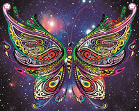 Malowanie Po Numerach Motyl Mandala