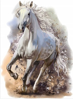 MALOWANIE PO NUMERACH KOŃ W GALOPIE 50x40 CM Z RAMĄ KREATYWNE