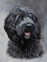 Diamentowa Mozaika Pies Cockapoo Czarny 30x40 Cm Kreatywne Diamenty