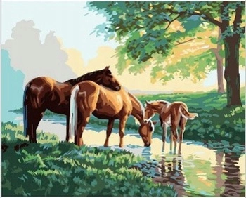 Diamentowa Mozaika Rodzina Koni Przy Wodopoju Rzeki 30x40 Cm Kreatywne