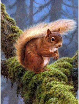 Malowanie Po Numerach Wiewiórka Na Gałązce Z Mchem 50x40 Z Ramą Kreatywne