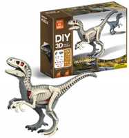 Figurka Dinozaura Velocira Model Anatomiczny Model Do Złożenia